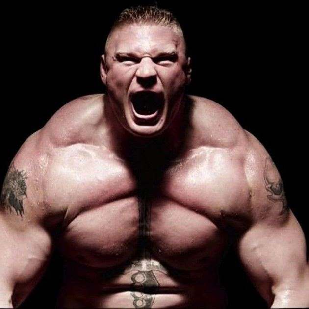 Ist Brock Lesnar Auf Steroiden Steroidundsteroid