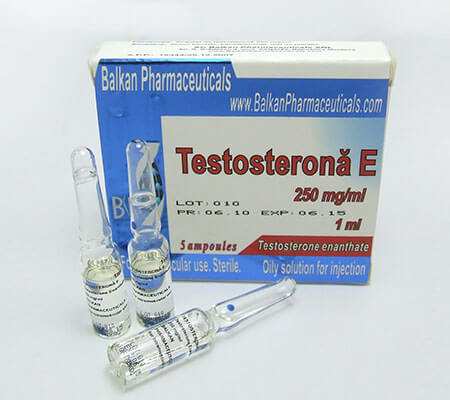 testosterone enanthate balkan pharma kaufen 2